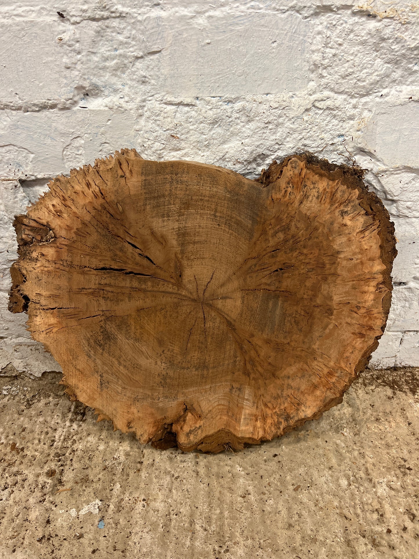 Elm No 88 - 420x350x40mm Sawn
