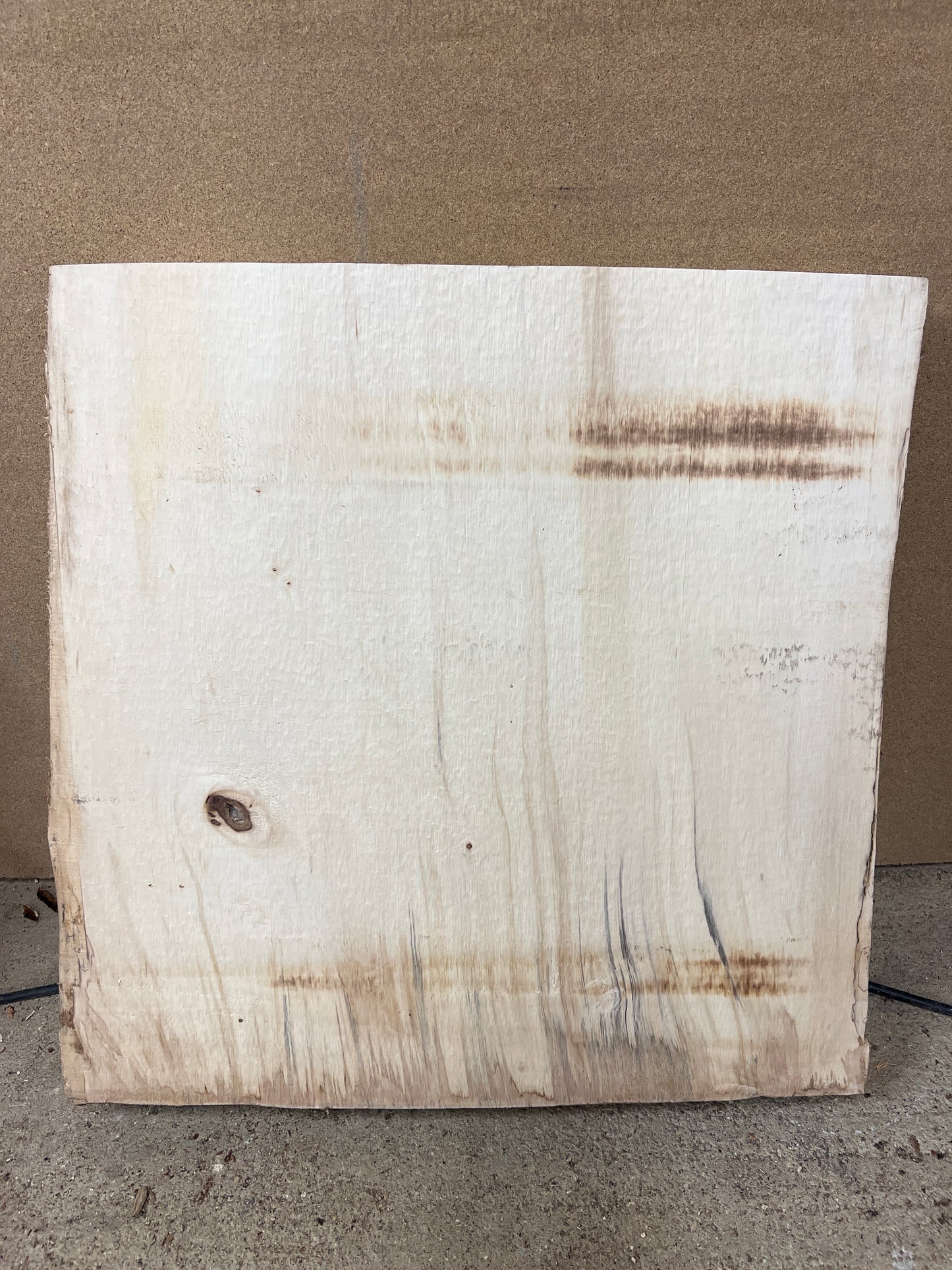 Horse Chestnut No 129 - 555x520-550x46mm Planed