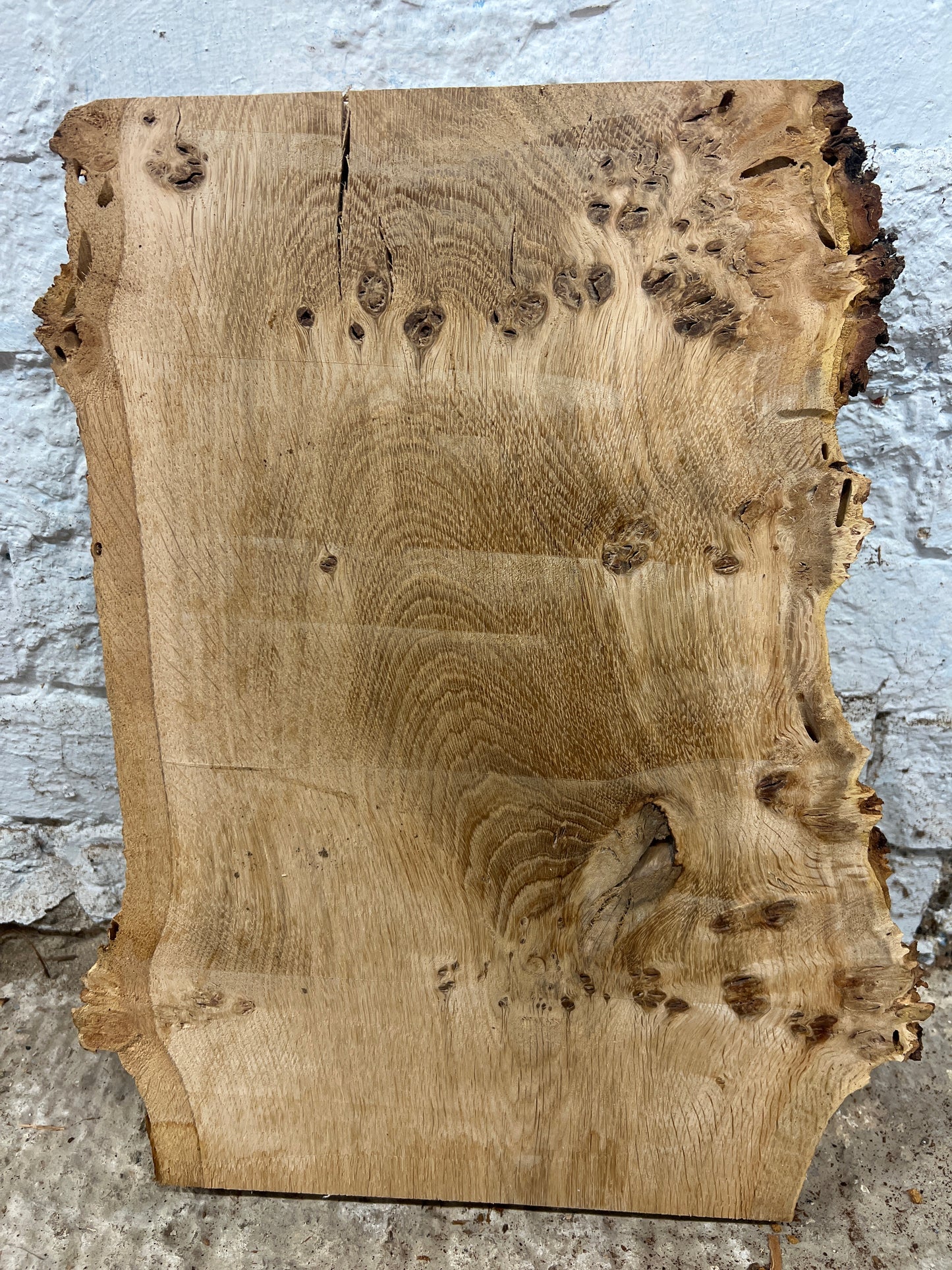 Burr Oak No 161 - 427x250-330x50mm Planed