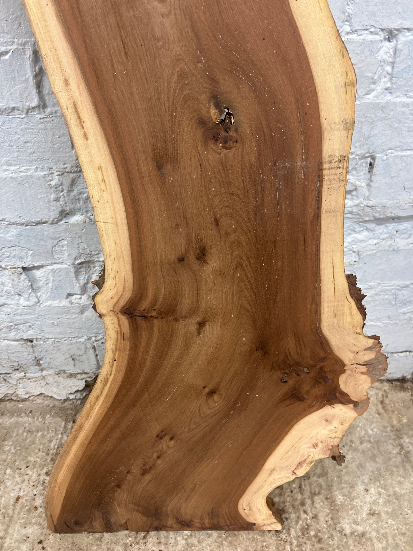 Burr Elm No 224 - 1440x260-420x43mm Planed