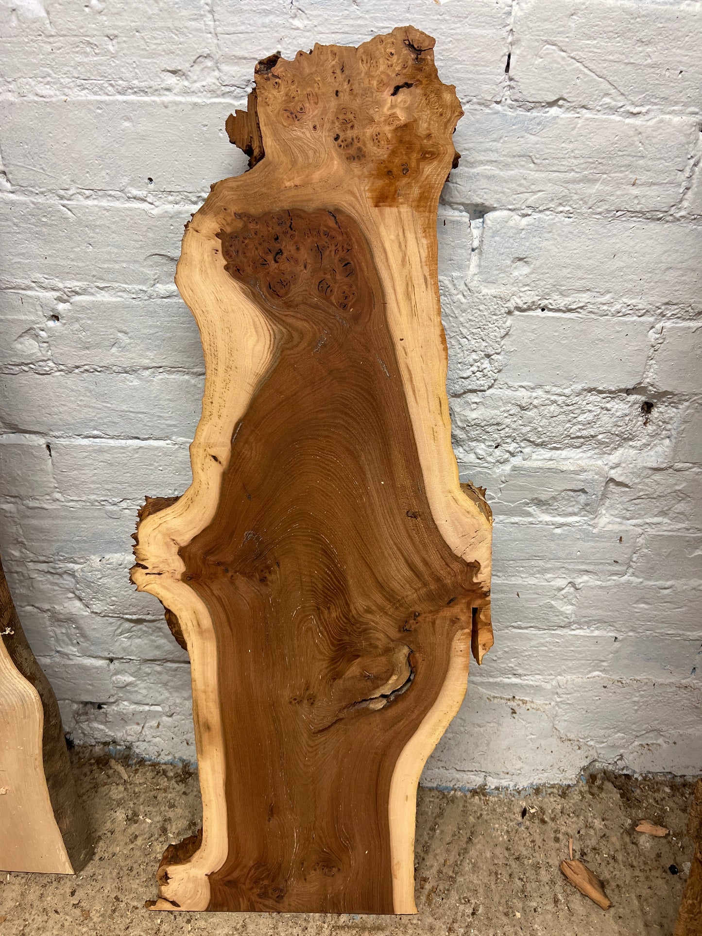 Elm No 133 - 880x160-340x32mm Planed