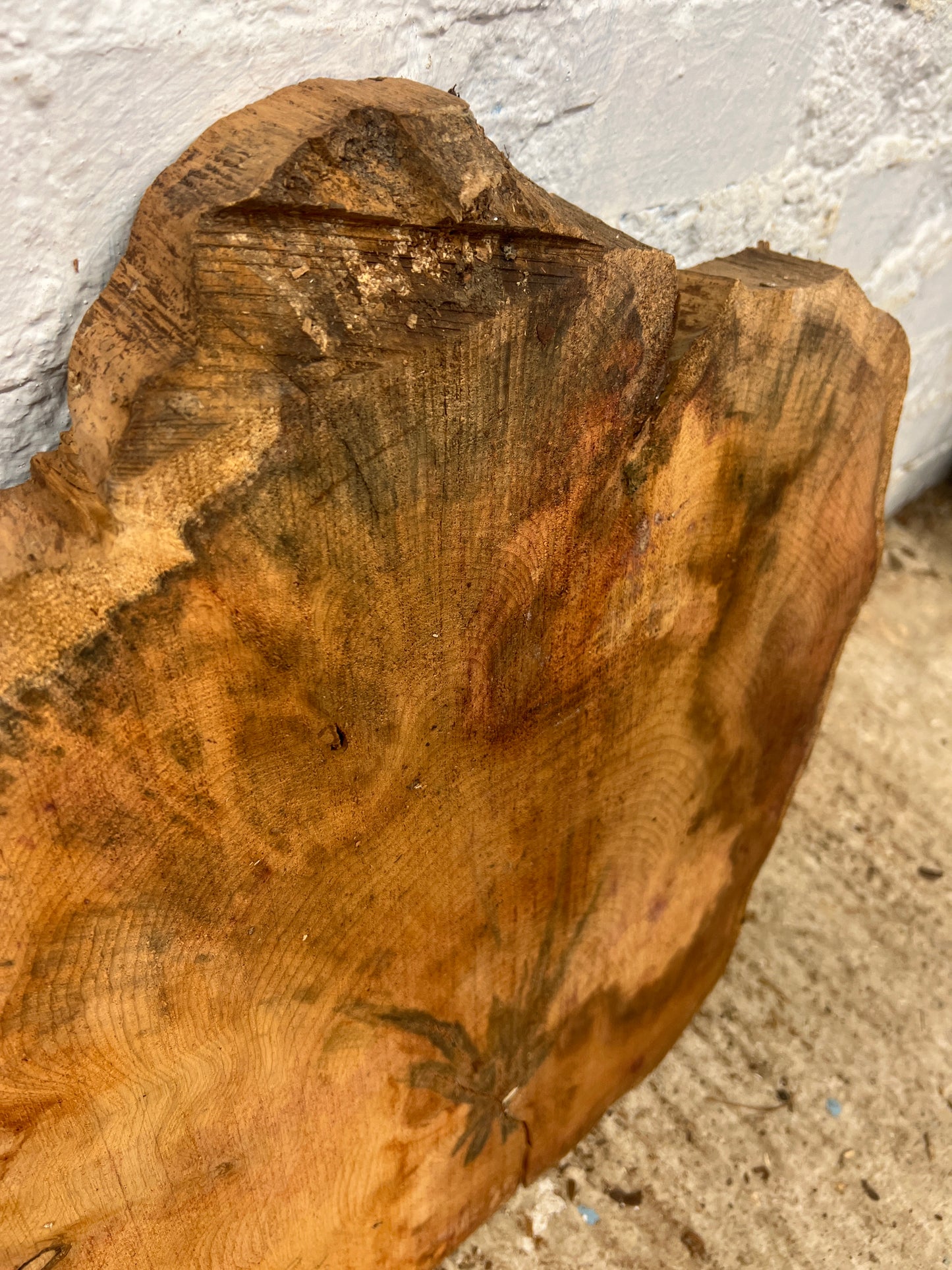Yew No 110 - 480x490x50mm Sawn