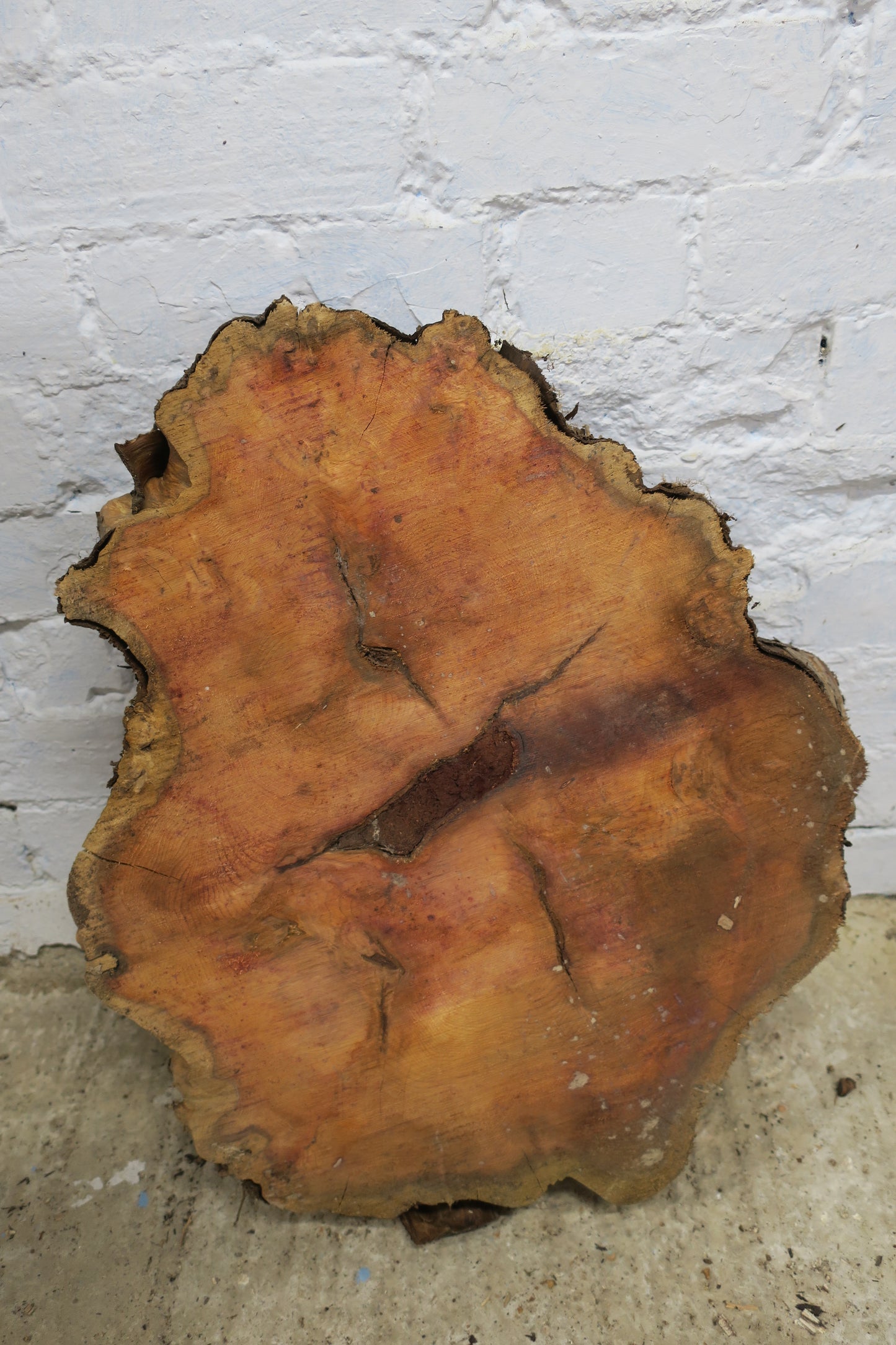 Yew No 95 - 550x480x50mm Planed