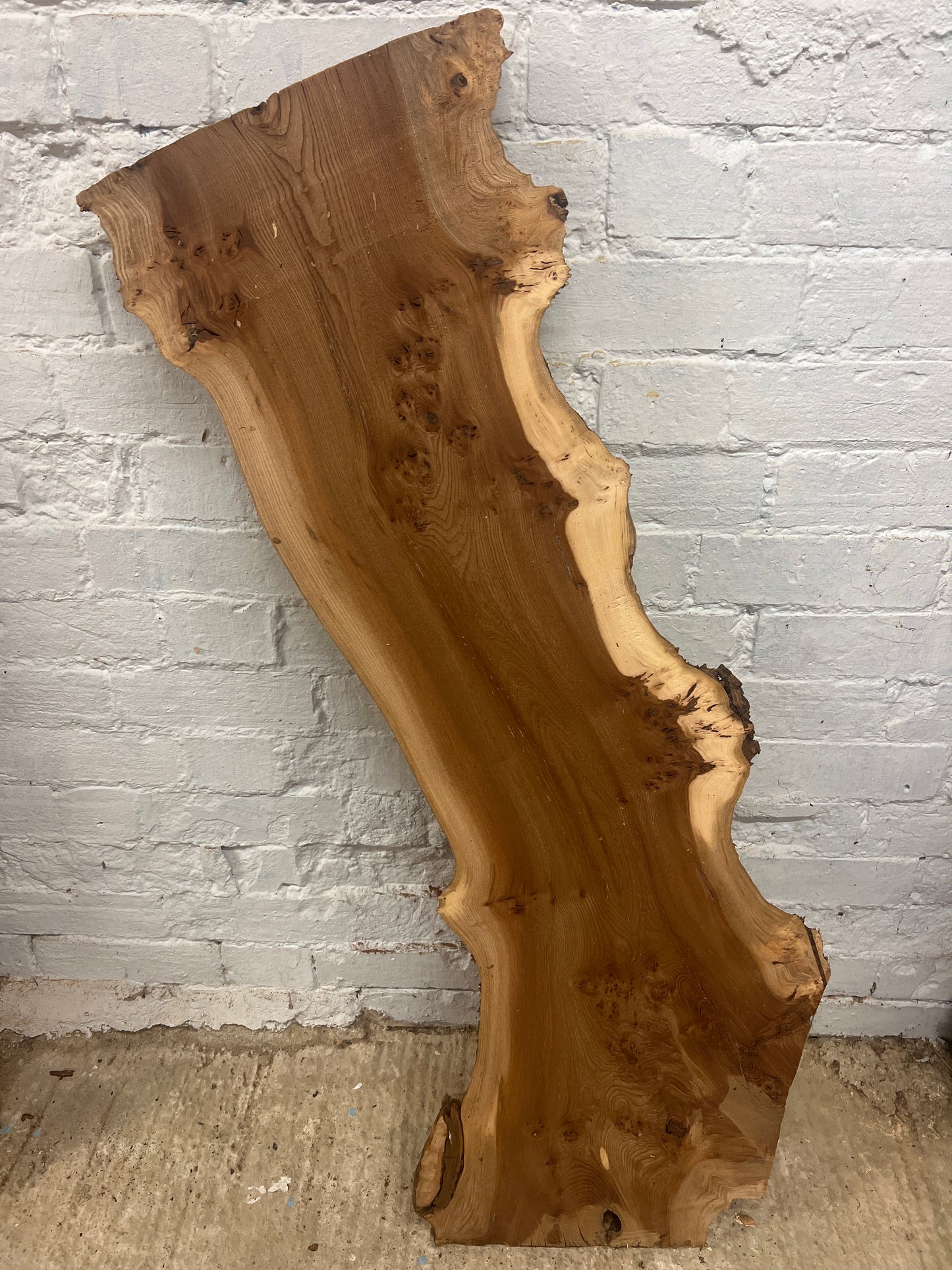 Burr Elm No 131 - 1145x240-360x45mm Planed