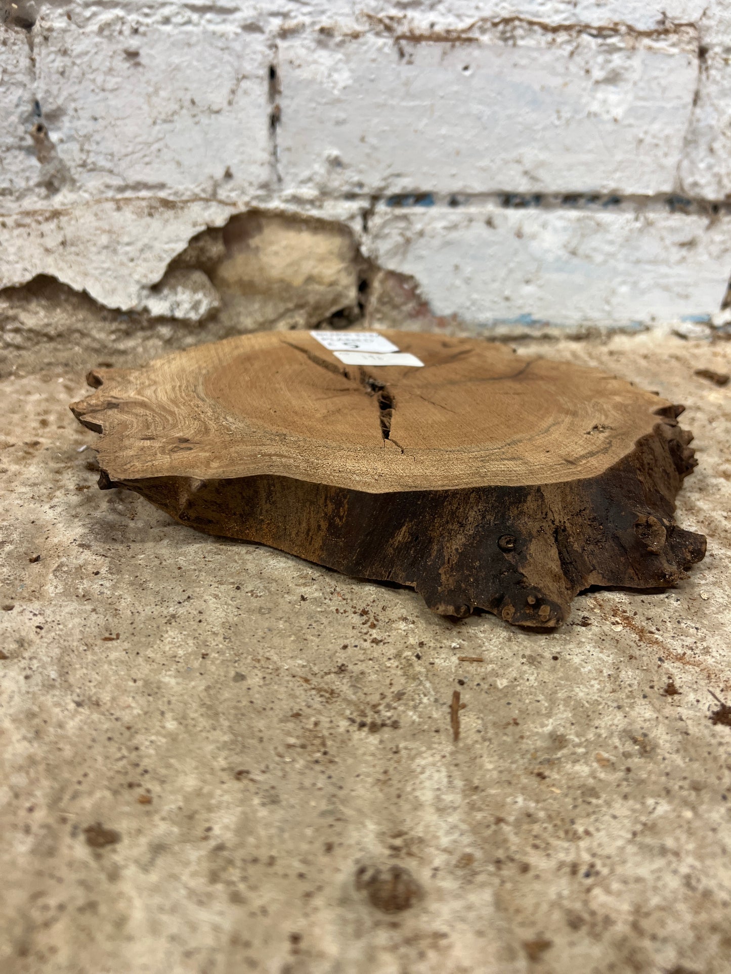 Elm No 196 - 230x230x25mm Sawn
