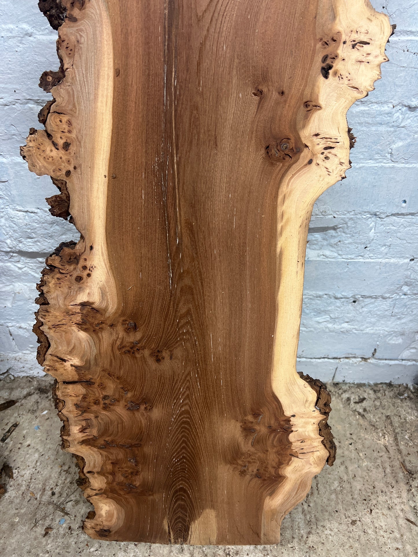 Burr Elm No 58 - 1200x240-360x33mm Planed