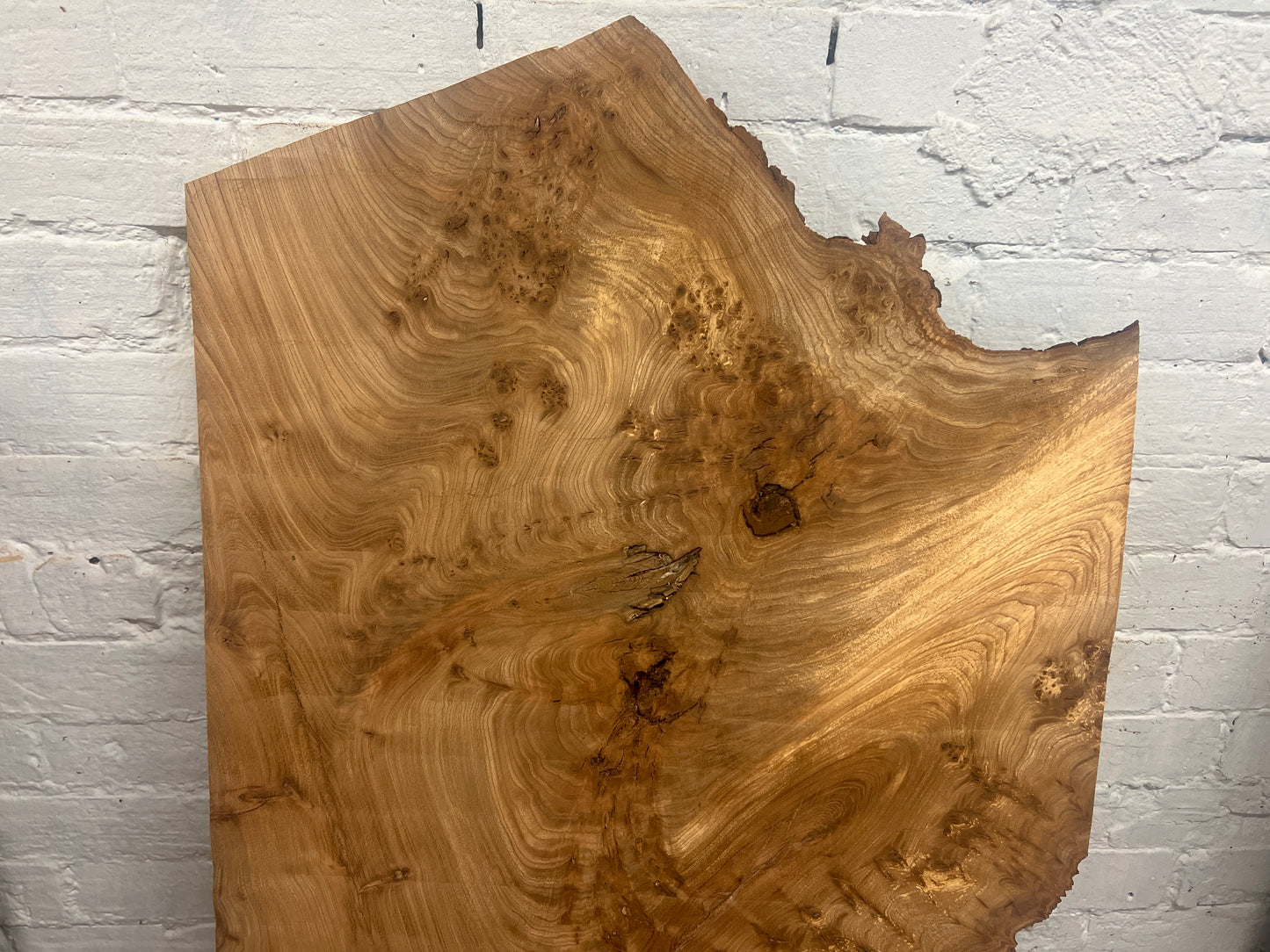 Elm No 55 - 1240x510-640x25mm Planed