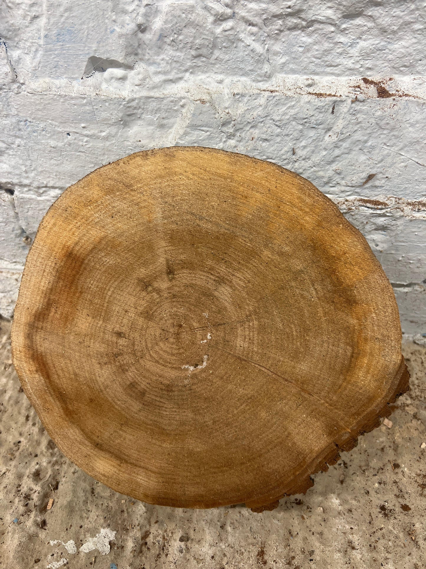 Elm No 132 - 250x260x40mm Sawn