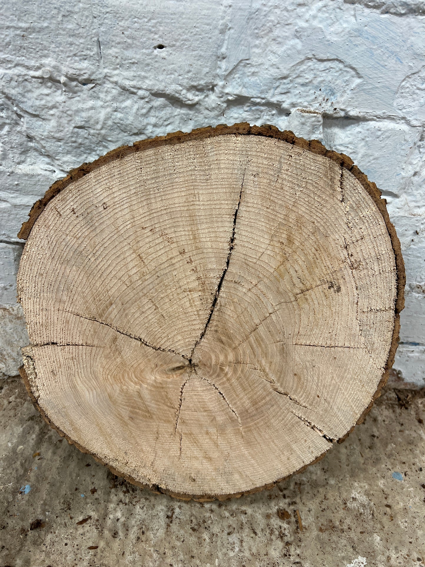 Ash No 146 - 310x310x50mm Sawn