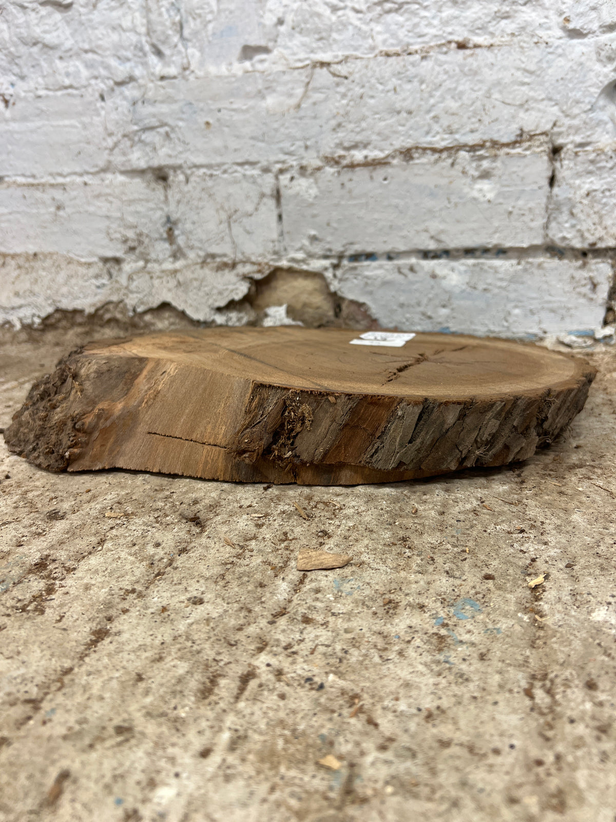 Burr Elm No 95 - 340x230x50mm Sawn