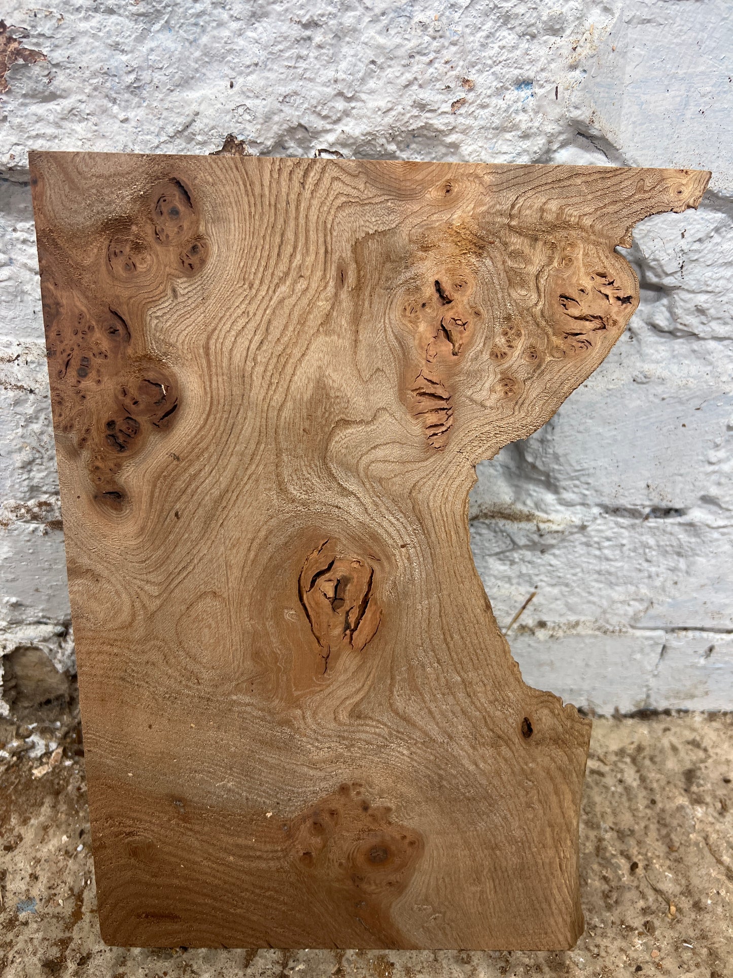 Burr Elm No 133 - 350x160-220x30mm Planed