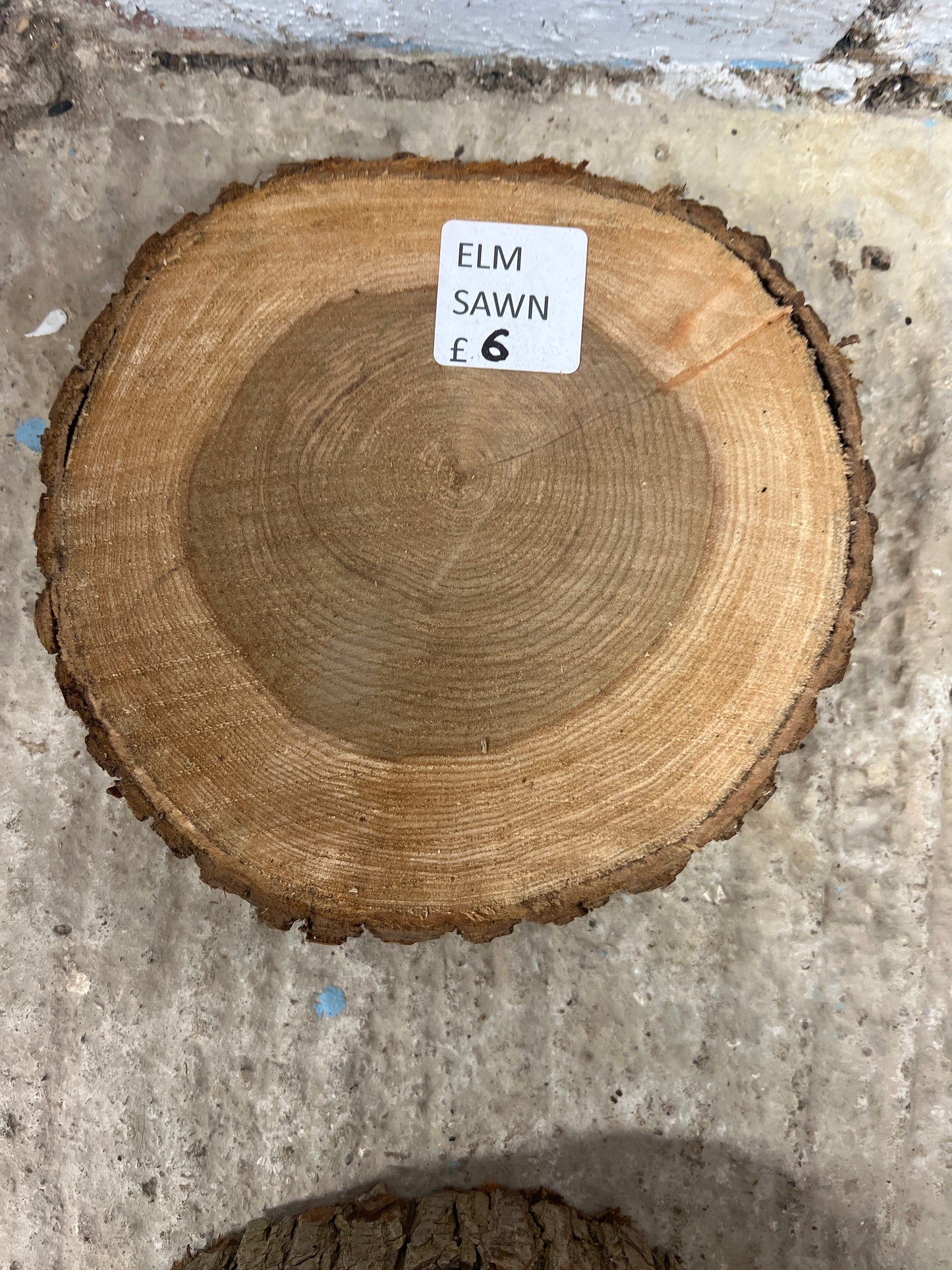 Elm Rounds - 210x200x40-50mm Sawn