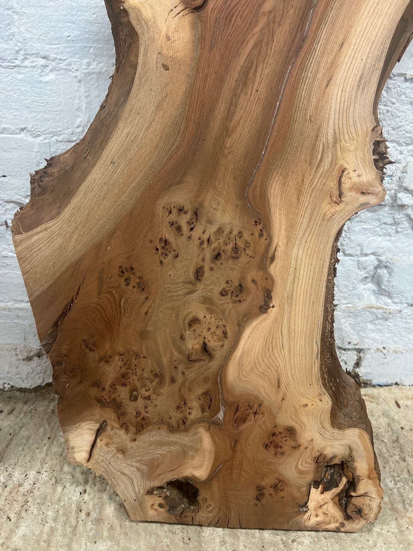 Burr Elm No 131 - 1145x240-360x45mm Planed