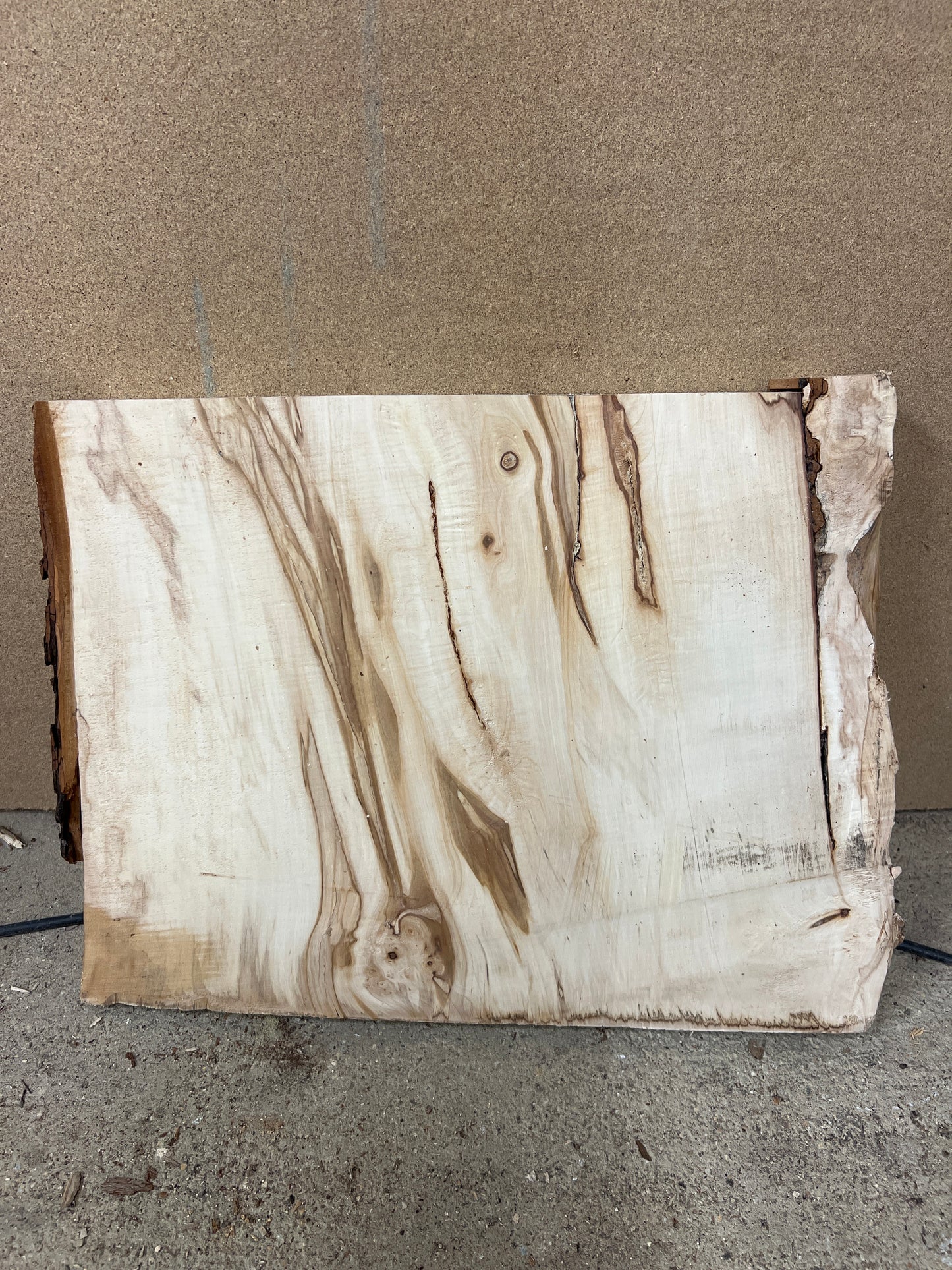 Horse Chestnut No 128 - 385x460-500x46mm Planed