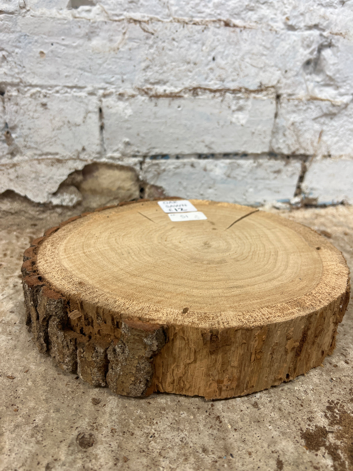 Oak Round No 51 - 270x260x55mm Sawn