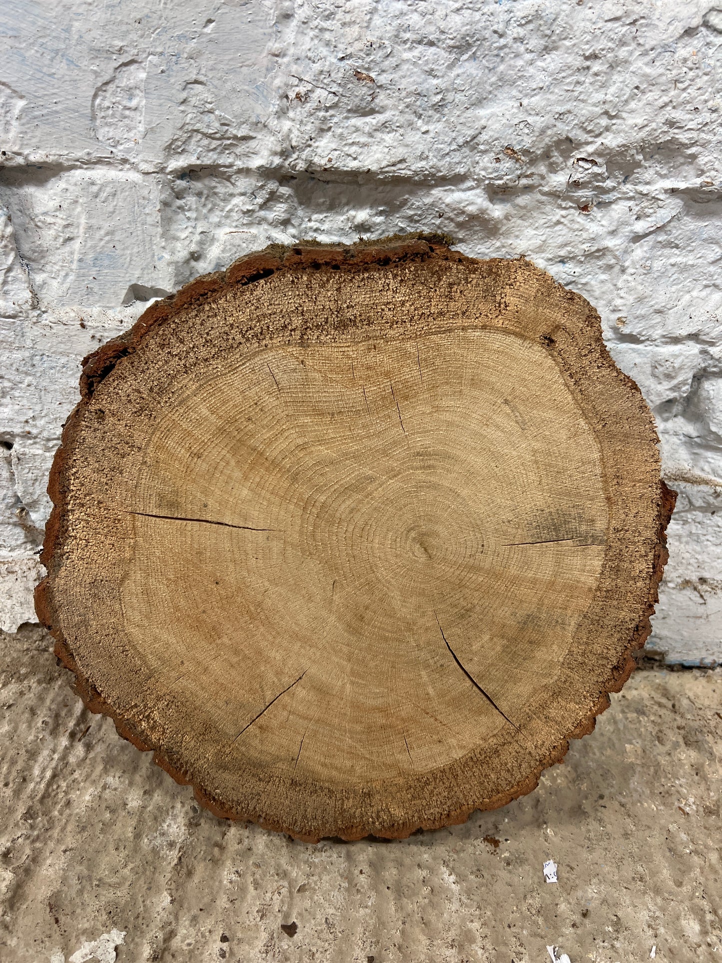 Oak No 146 - 310x310x60mm Sawn