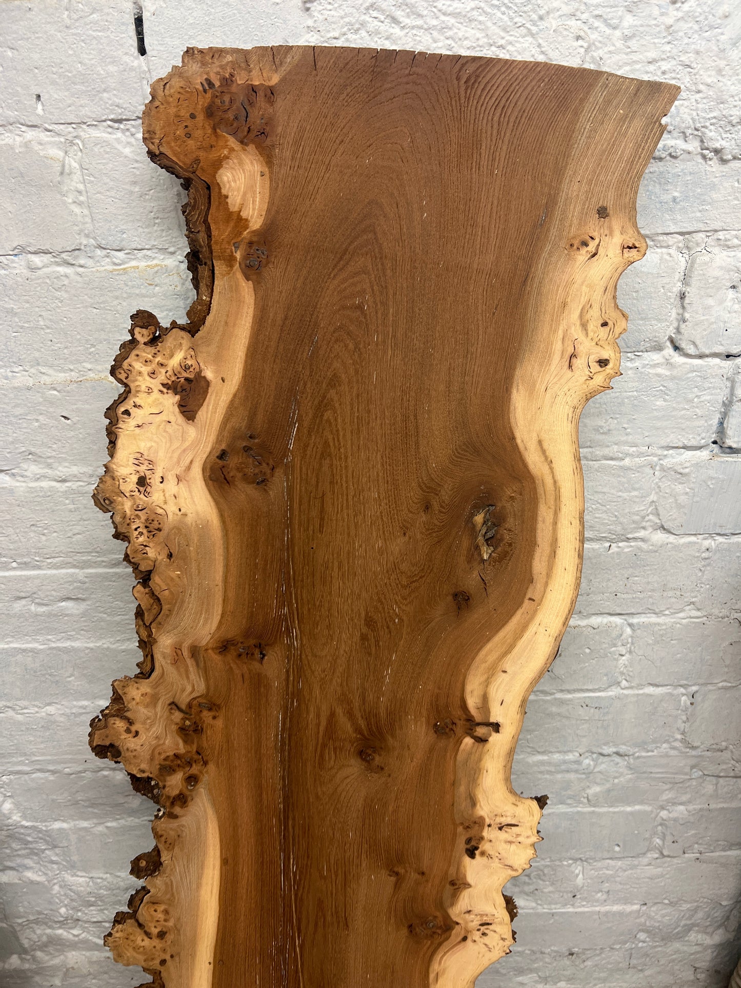 Burr Elm No 58 - 1200x240-360x33mm Planed