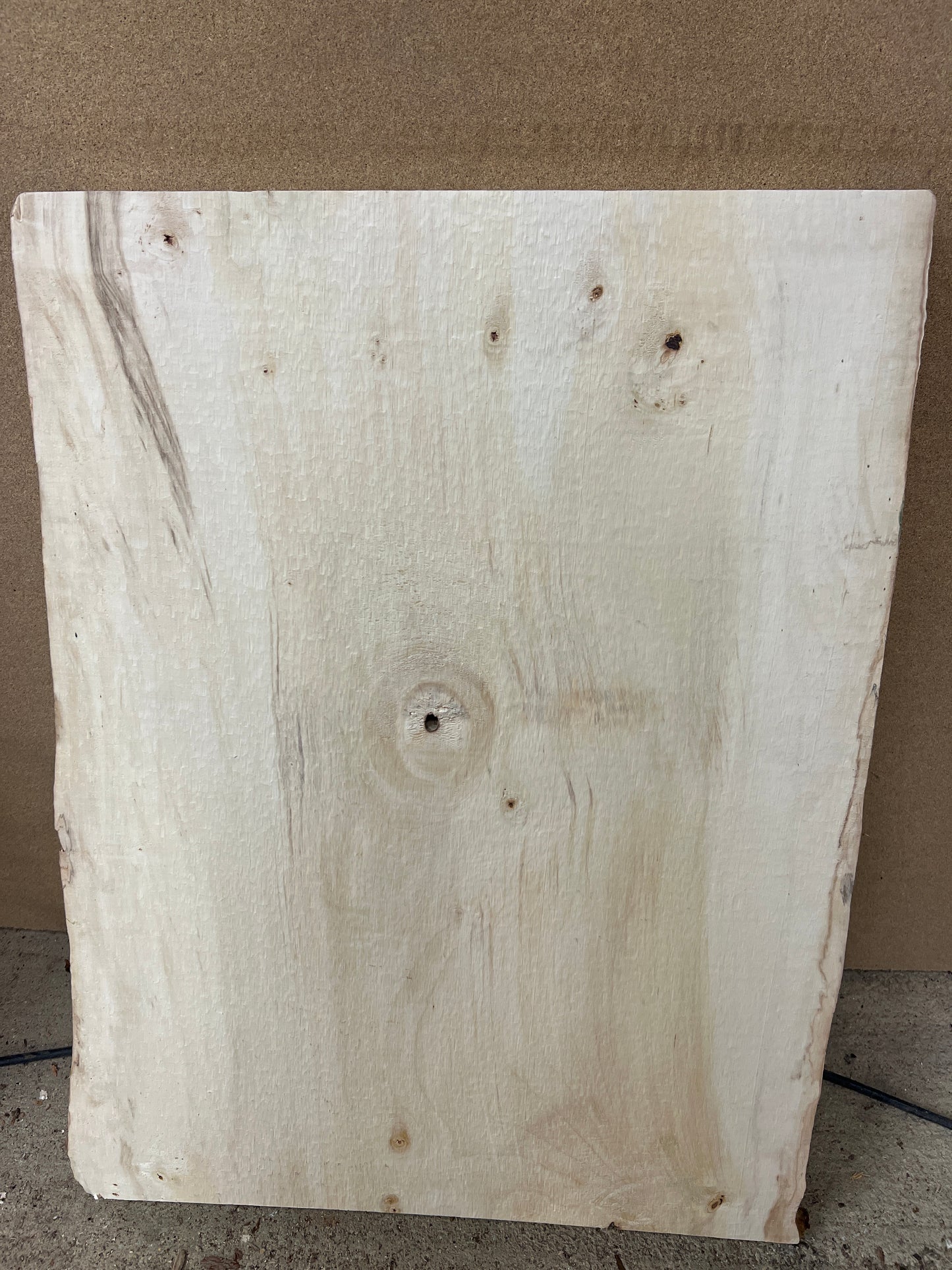 Horse Chestnut No 127 - 705x500-540x46mm Planed