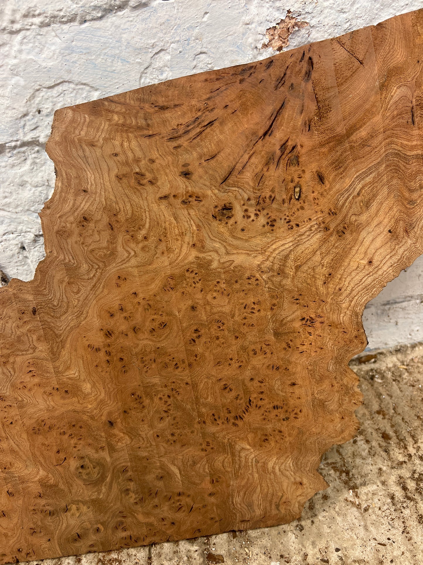 Burr Elm No 219 - 365x310-400x50mm Planed