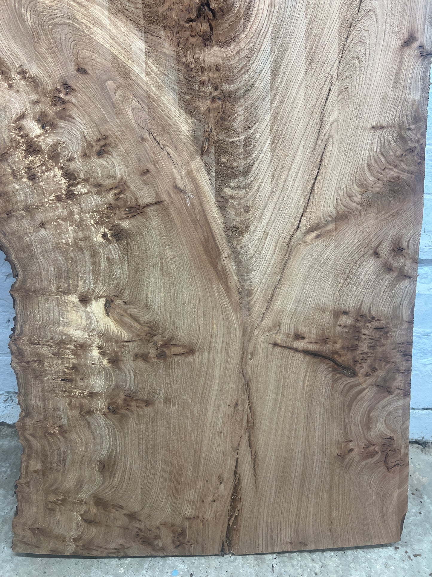 Elm No 55 - 1240x510-640x25mm Planed