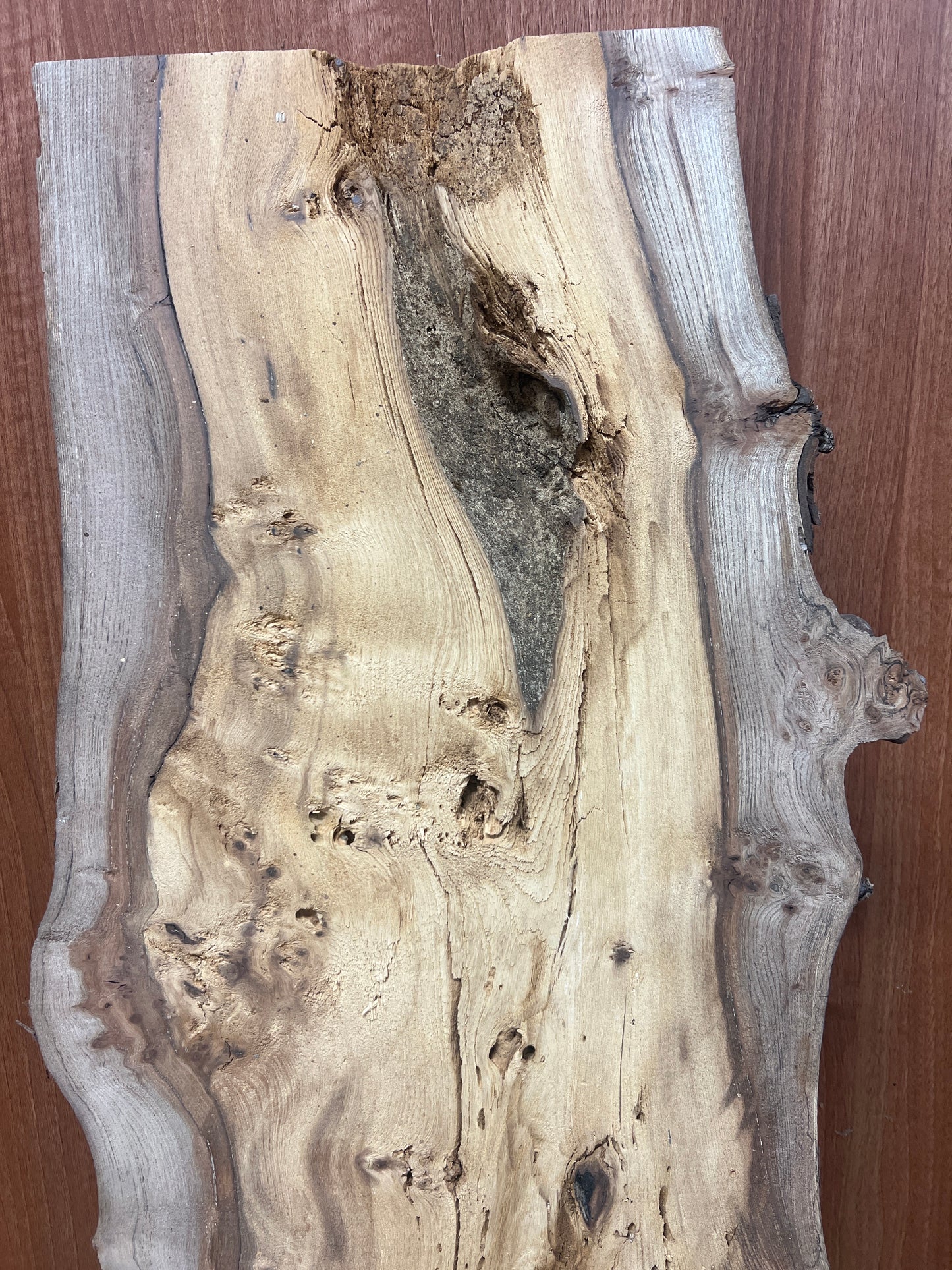Elm No 72 - 1035x290-360x40mm Planed