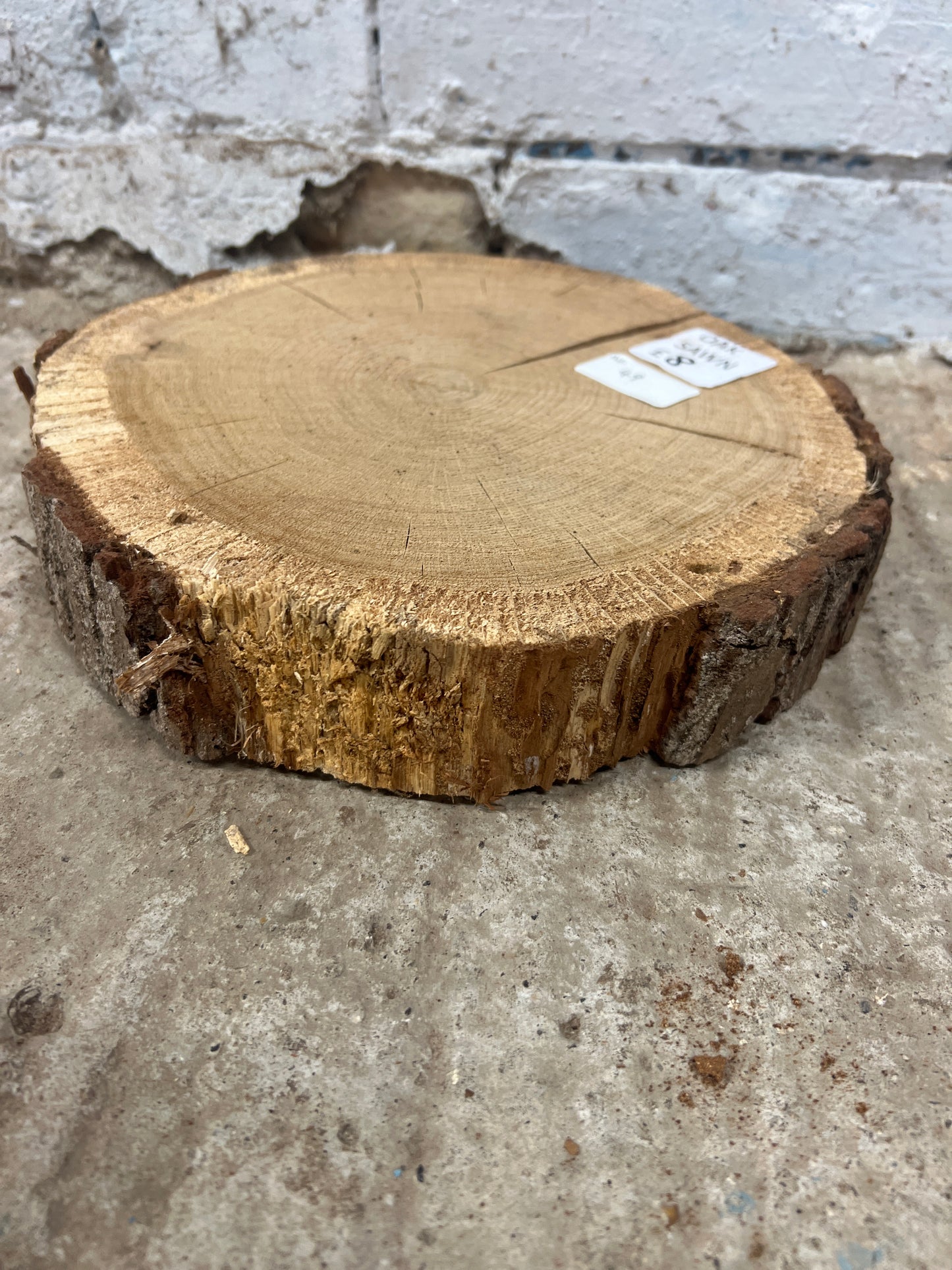 Oak Round No 49 - 260x250x45mm Sawn