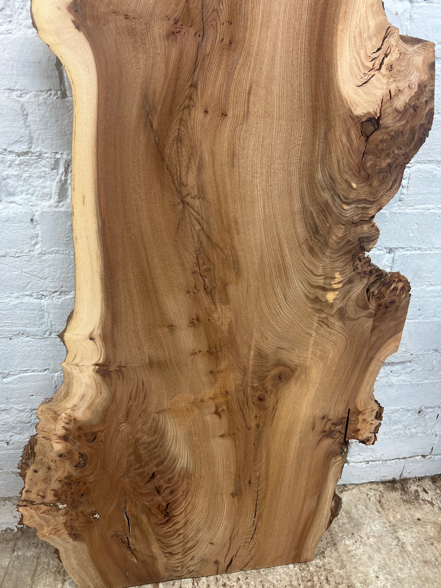 Burr Elm No 230 - 1760x340-600x30mm Planed