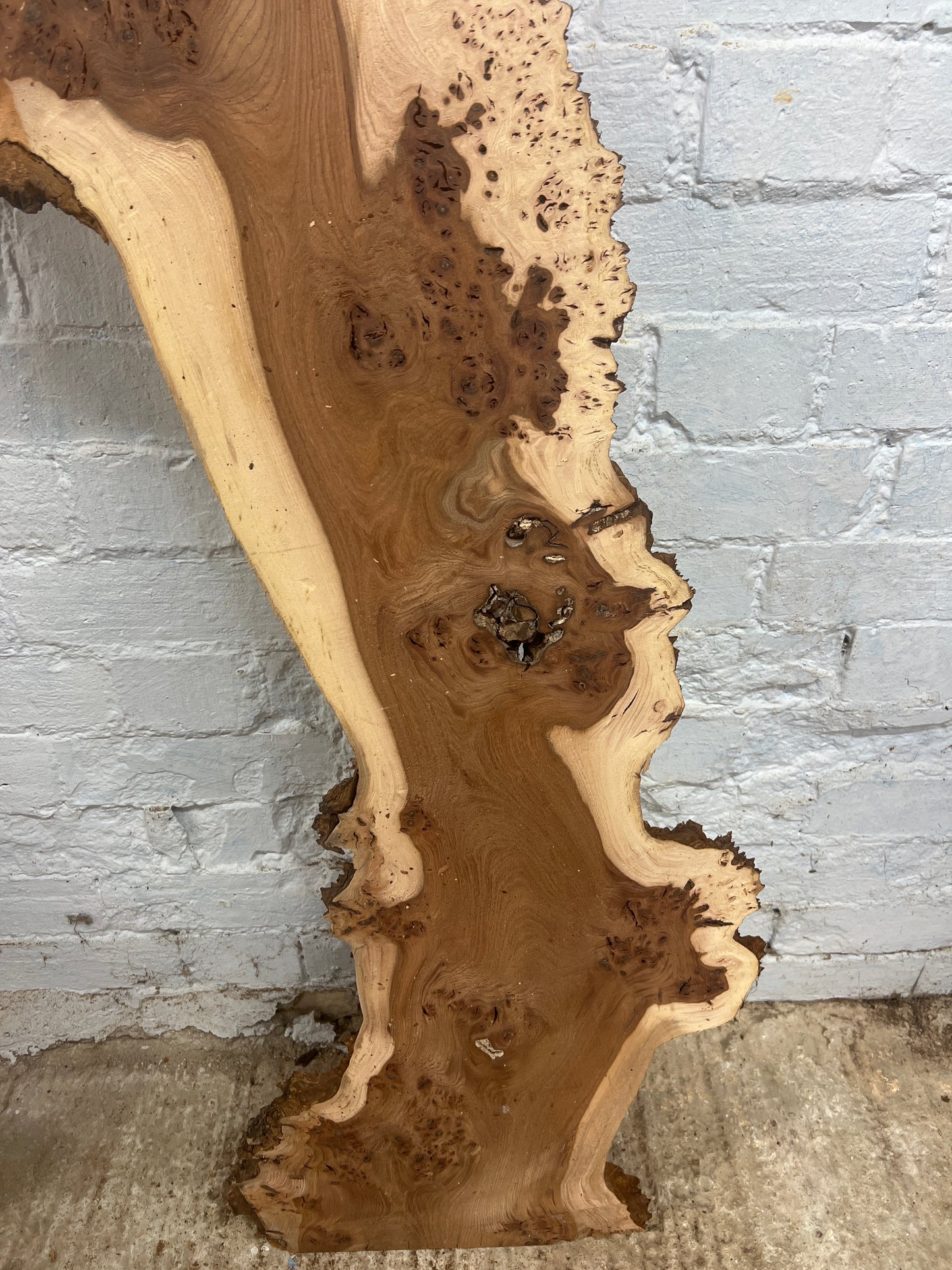 Burr Elm No 229 - 1480x210-360x30mm Planed