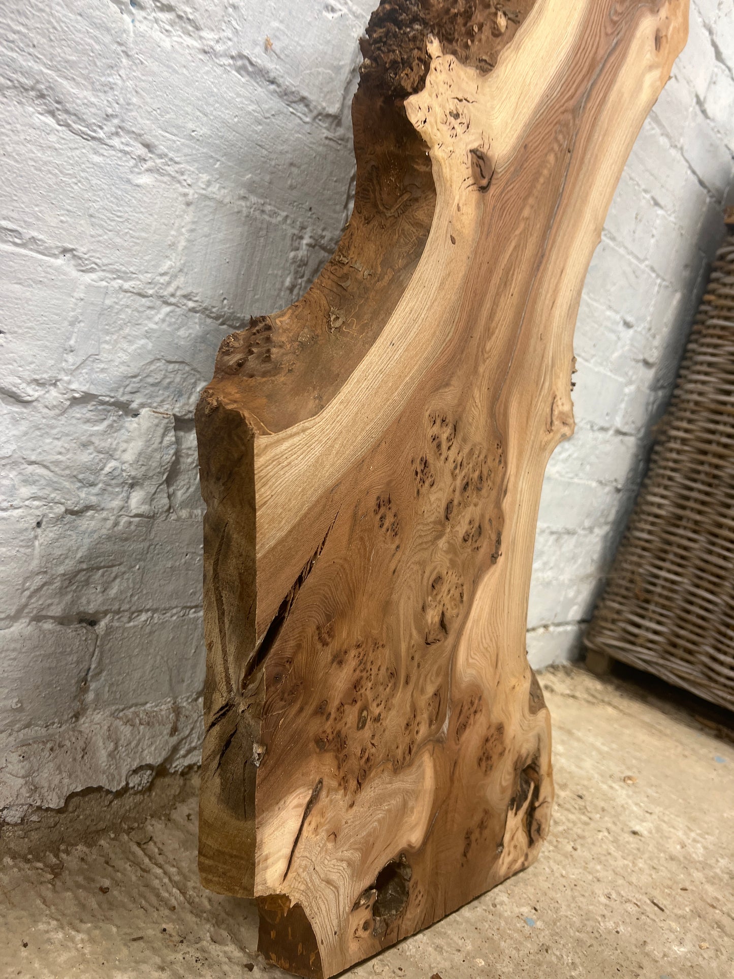 Burr Elm No 131 - 1145x240-360x45mm Planed