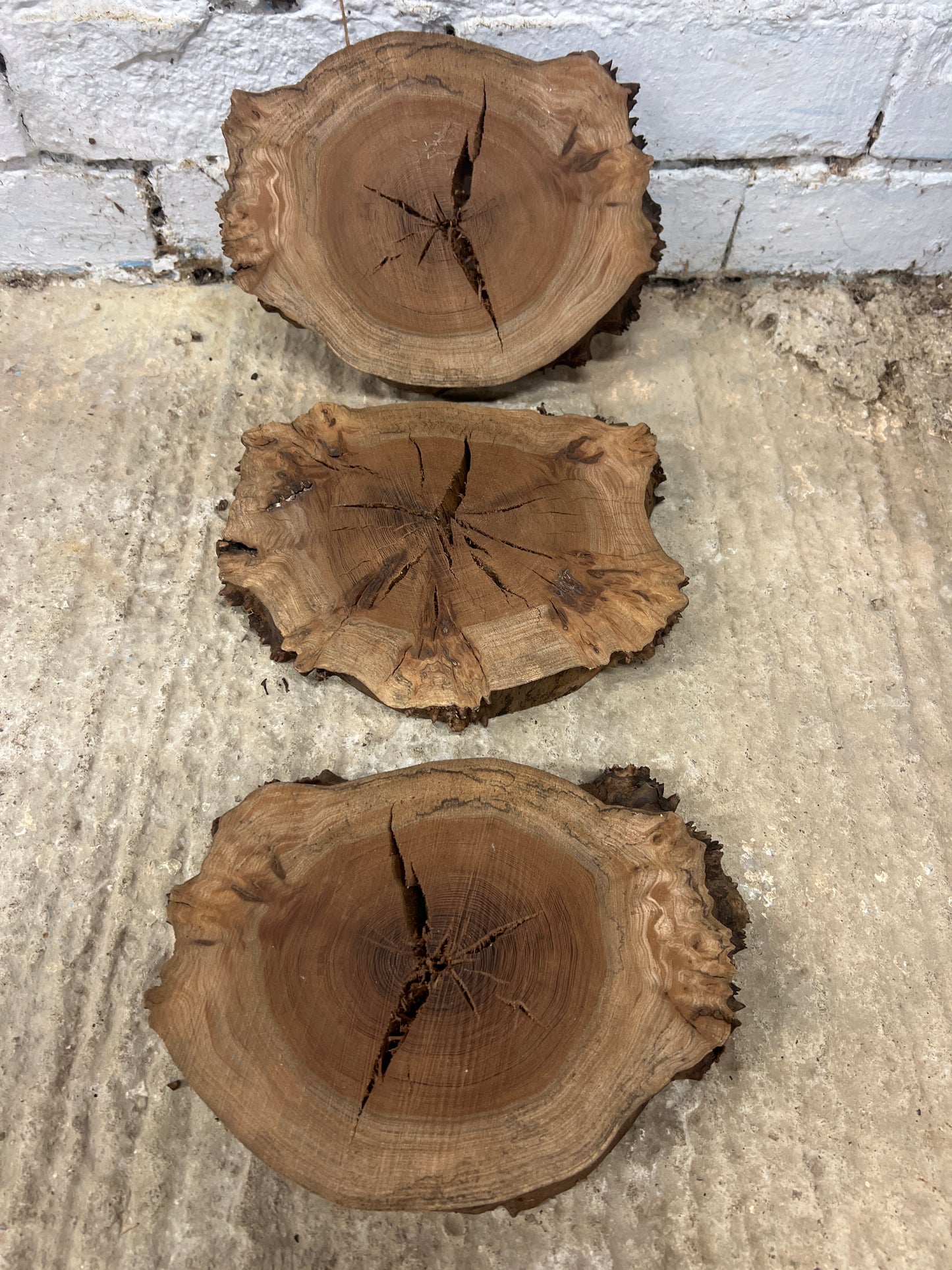 Burr Elm Rounds - 220x170x30mm Sawn