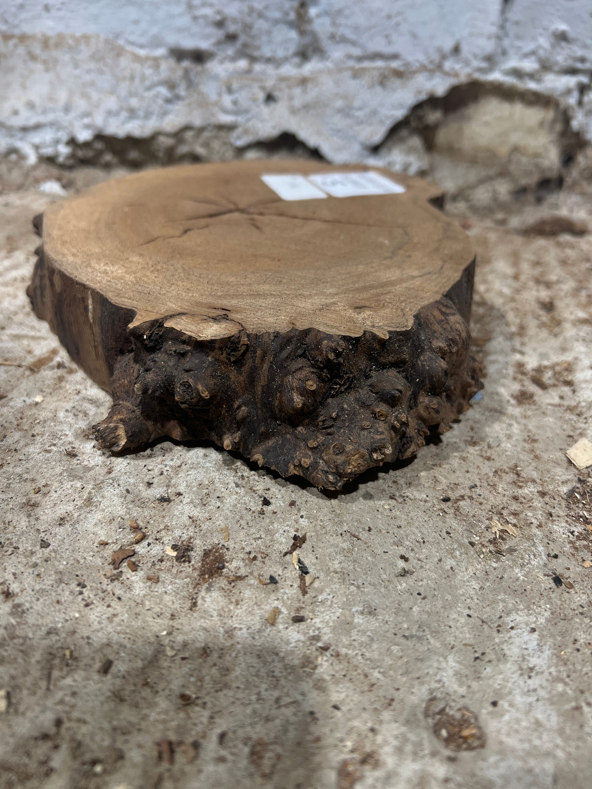 Elm No 196 - 230x180x40mm Sawn