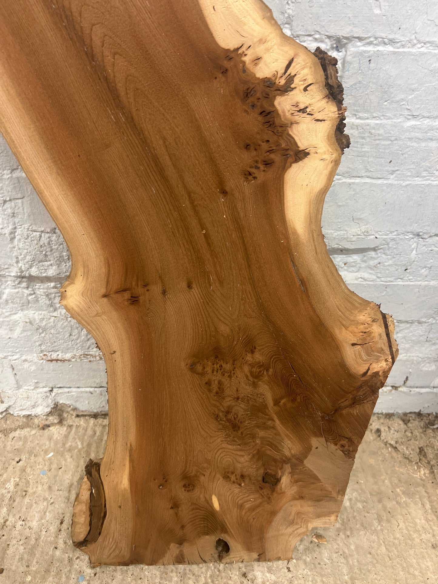 Burr Elm No 131 - 1145x240-360x45mm Planed