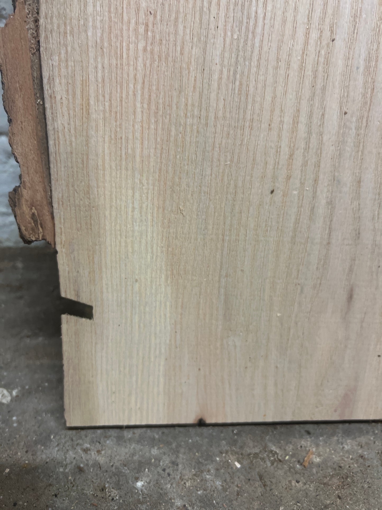 Ash No 18 - 787x380-400x40mm Planed