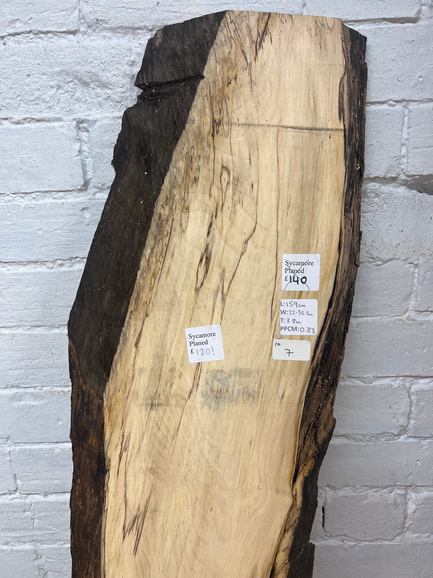 Sycamore No 7 - 1590x220-325x38mm Planed