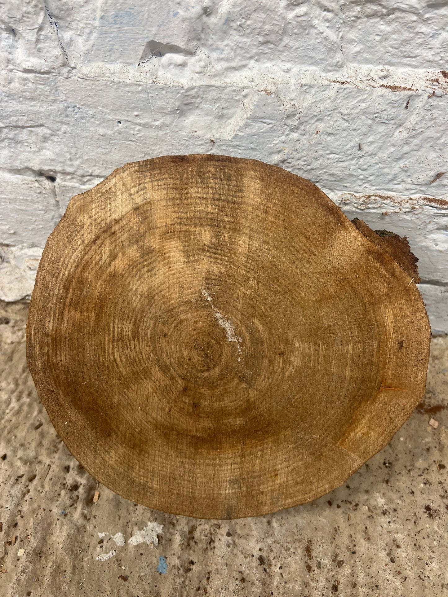 Elm No 135 - 250x260x50mm Sawn