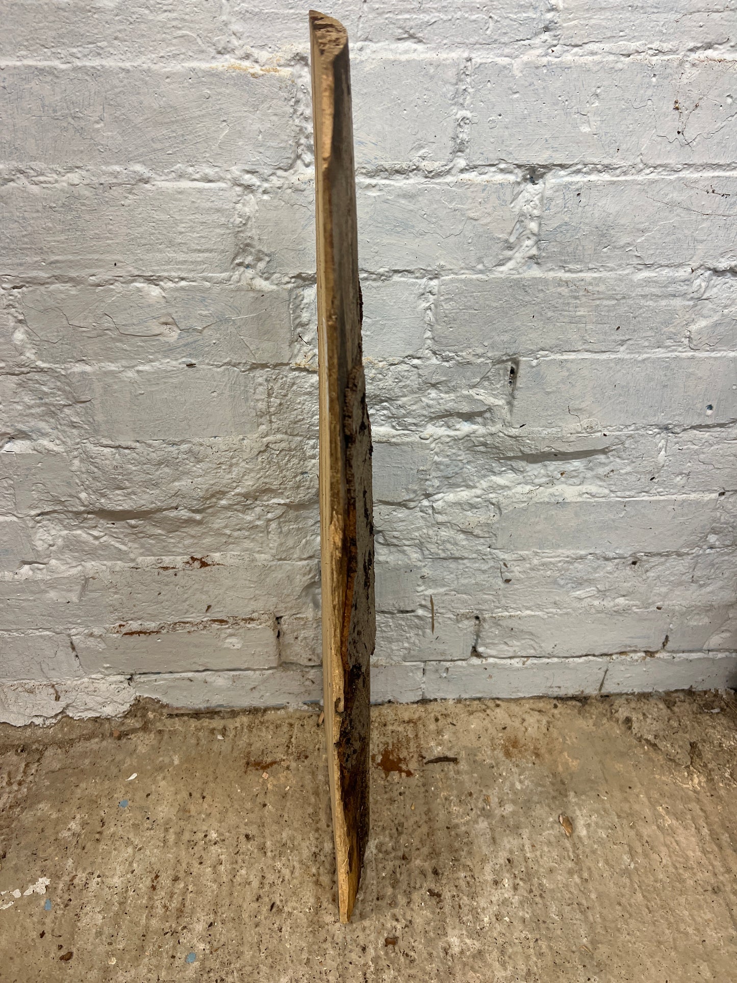 Spalted Beech No 6 - 750x140-240x40mm Planed