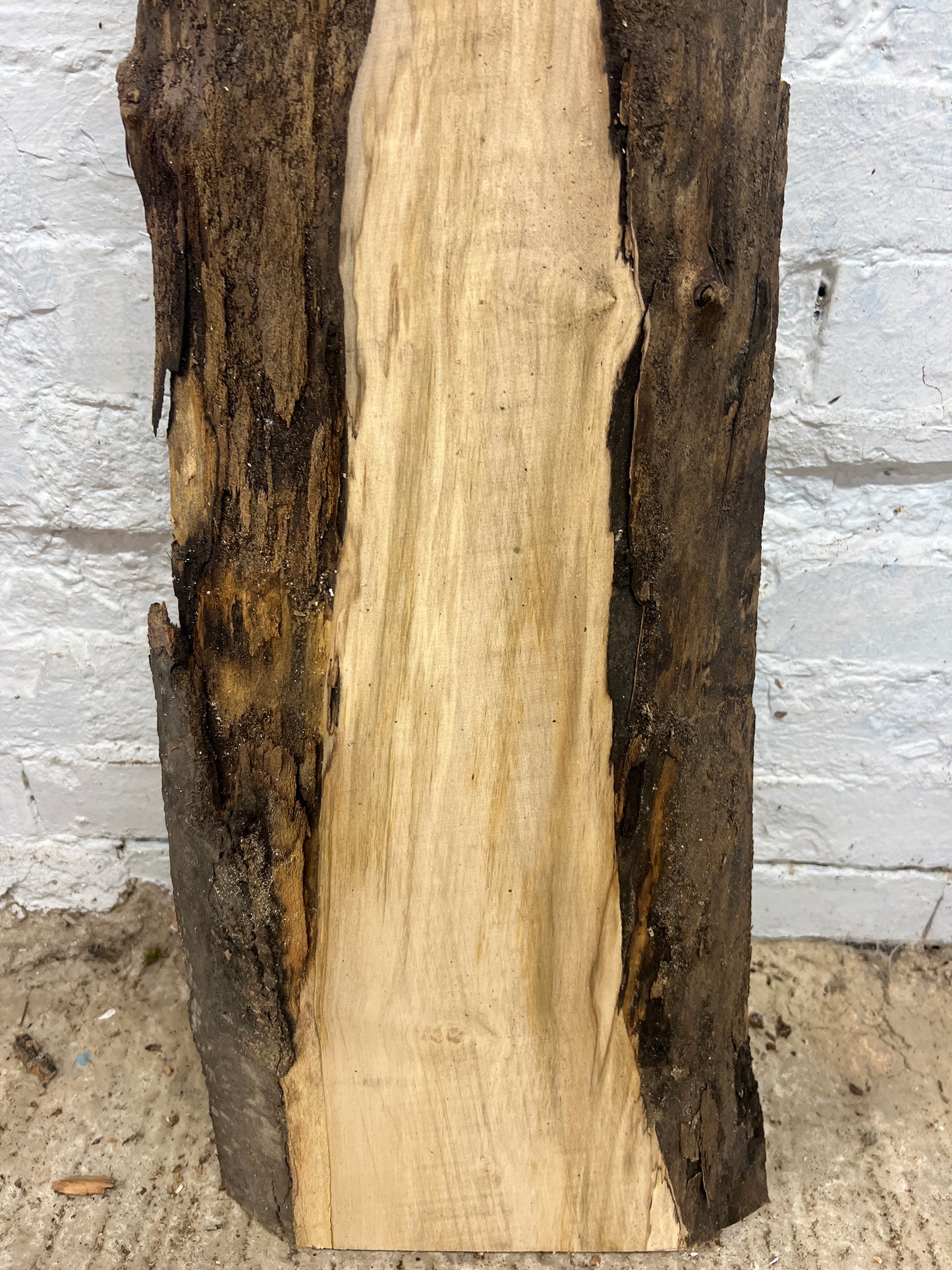 Sycamore No 84 - 1025x210-310x35mm Planed