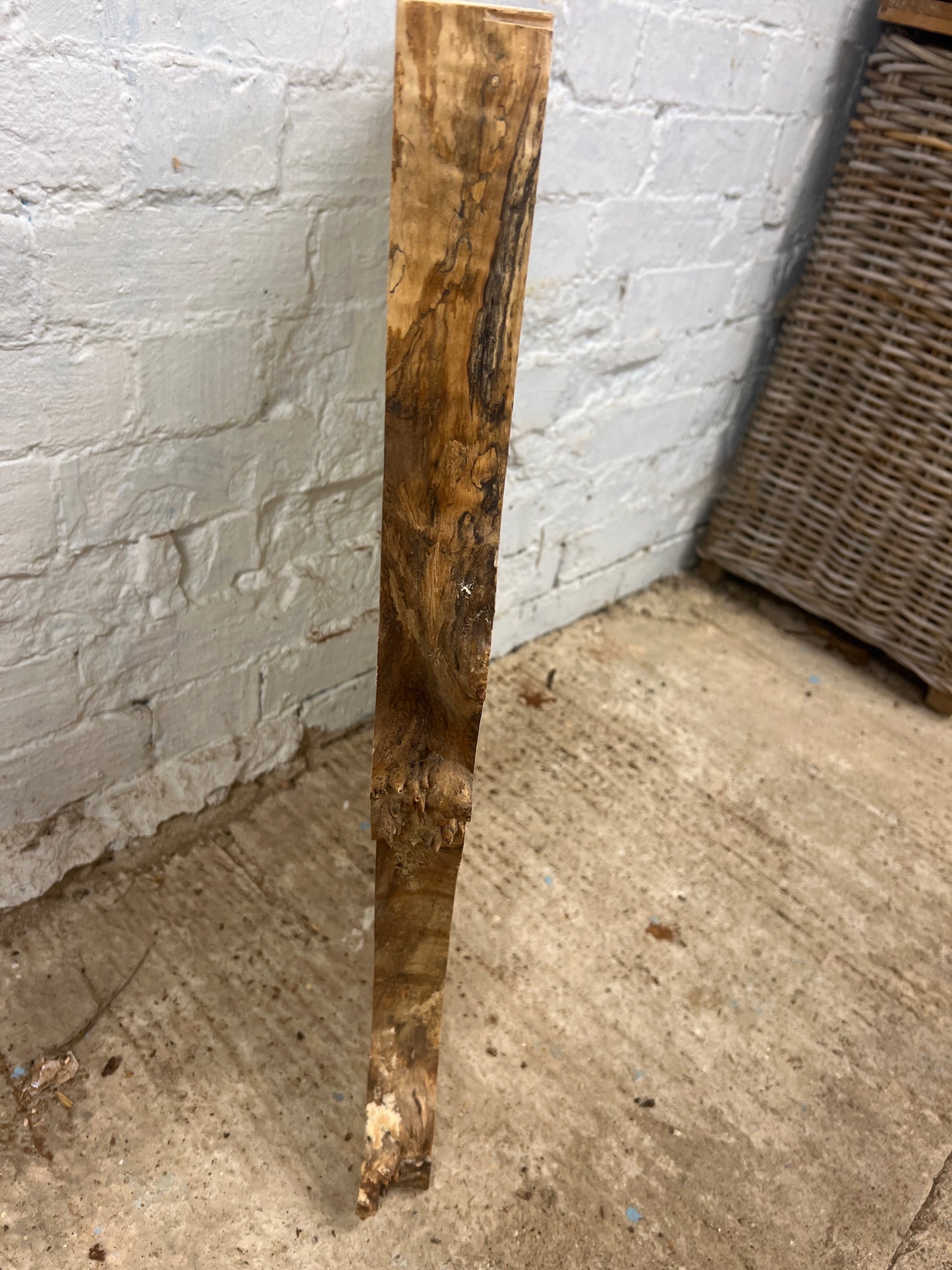 Horse Chestnut No 125 - 705x490-560x46mm Planed