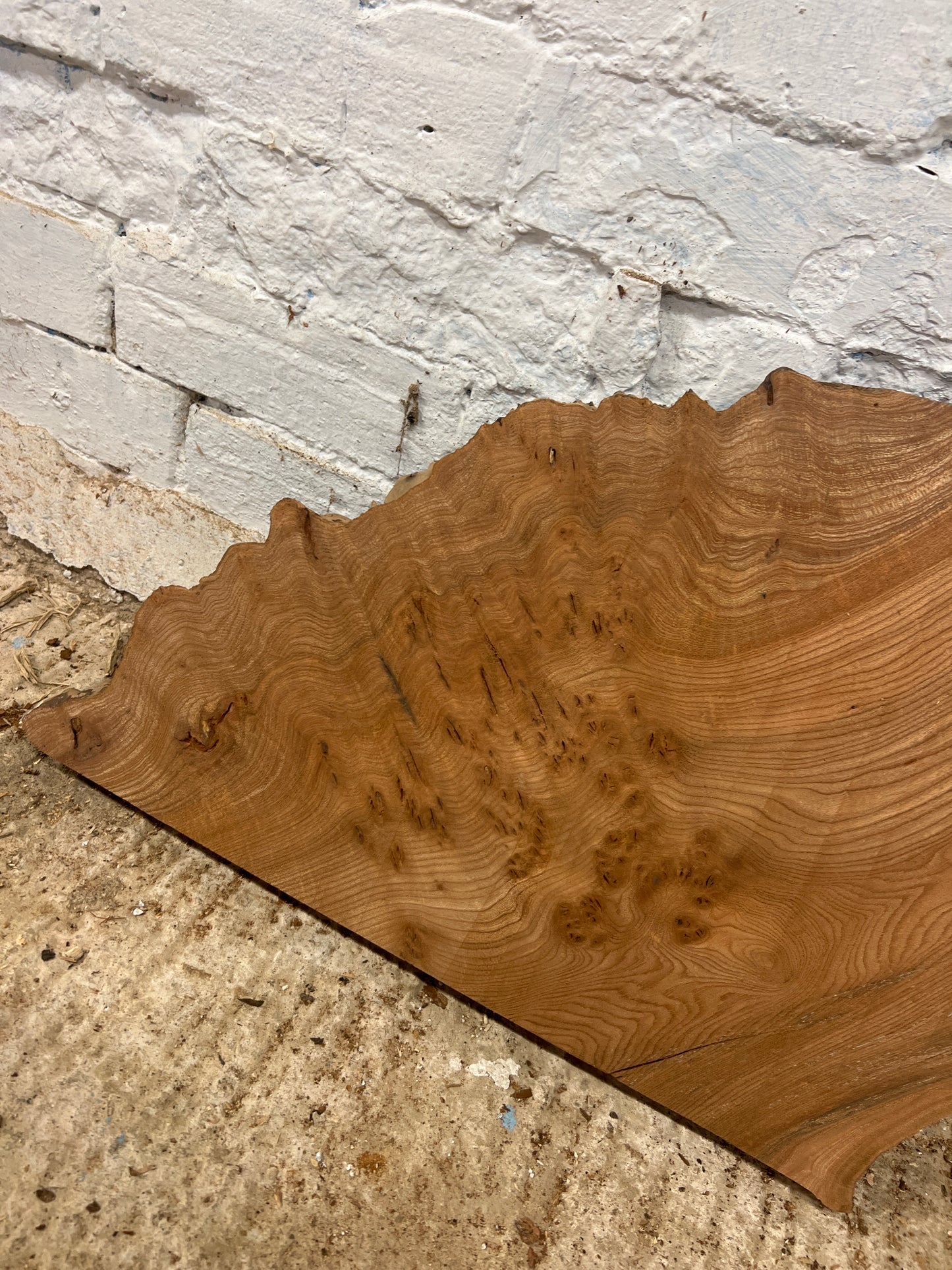 Burr Elm No 220- 350x400-520x40mm Planed