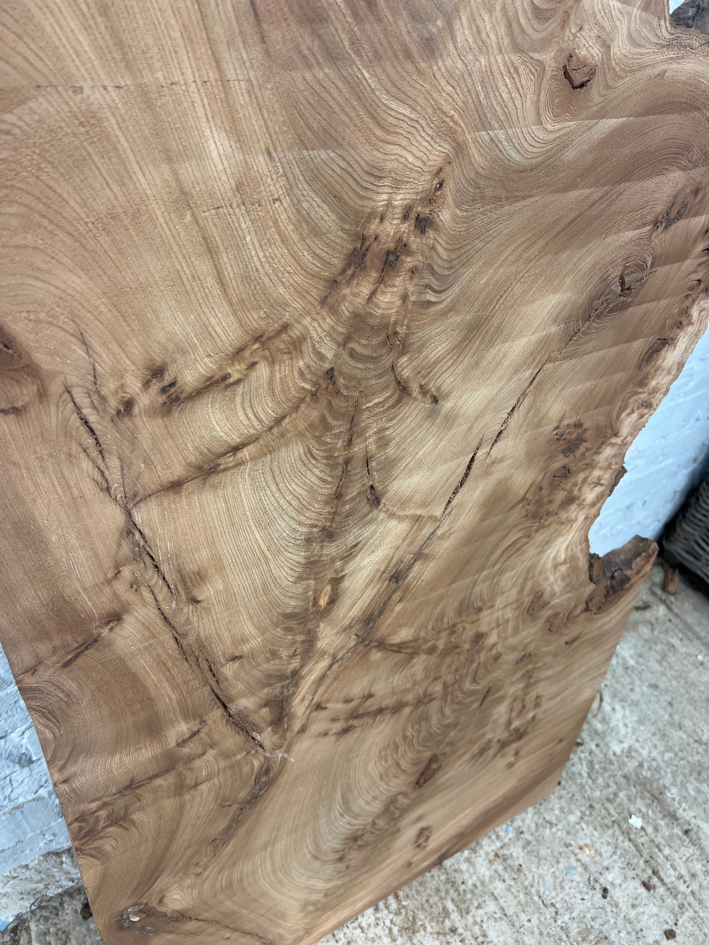 Burr Elm No 221- 1480x530-680x35mm Planed