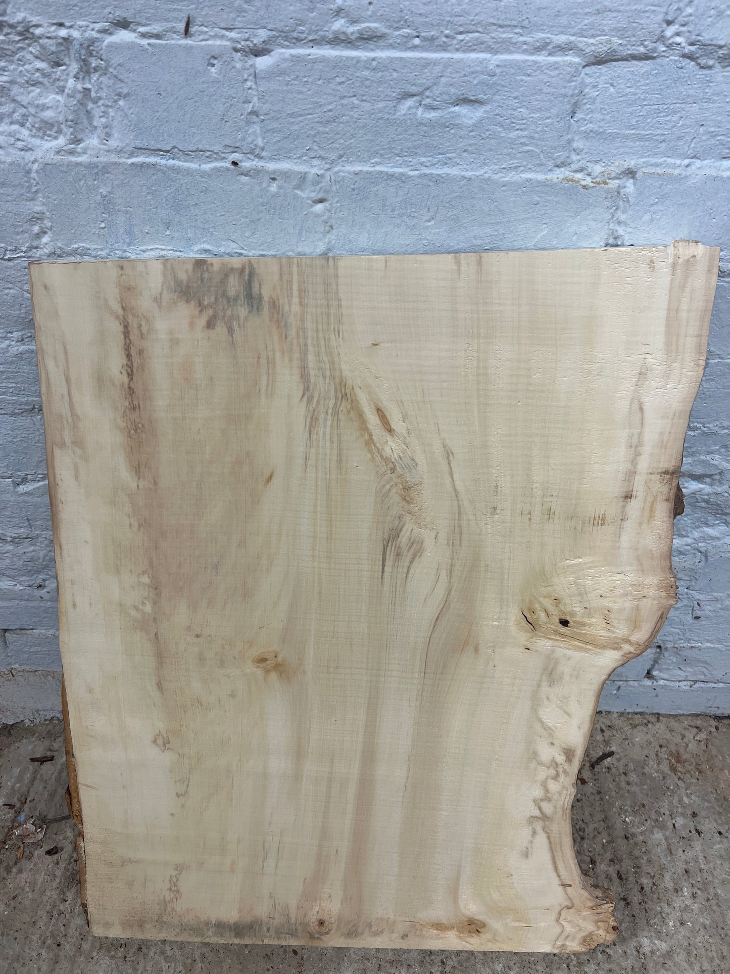 Horse Chestnut No 125 - 705x490-560x46mm Planed