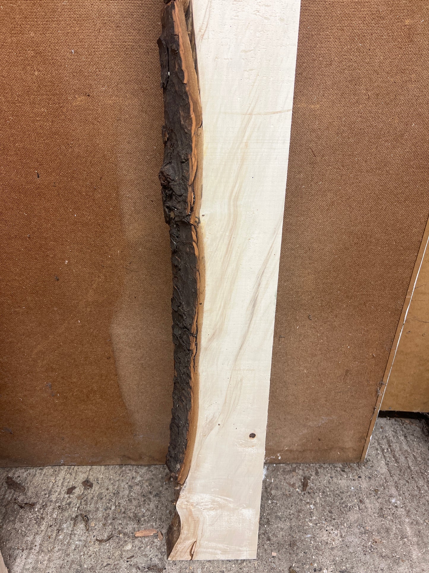 Horse Chestnut No 63 - 1565x120-170x48mm Planed