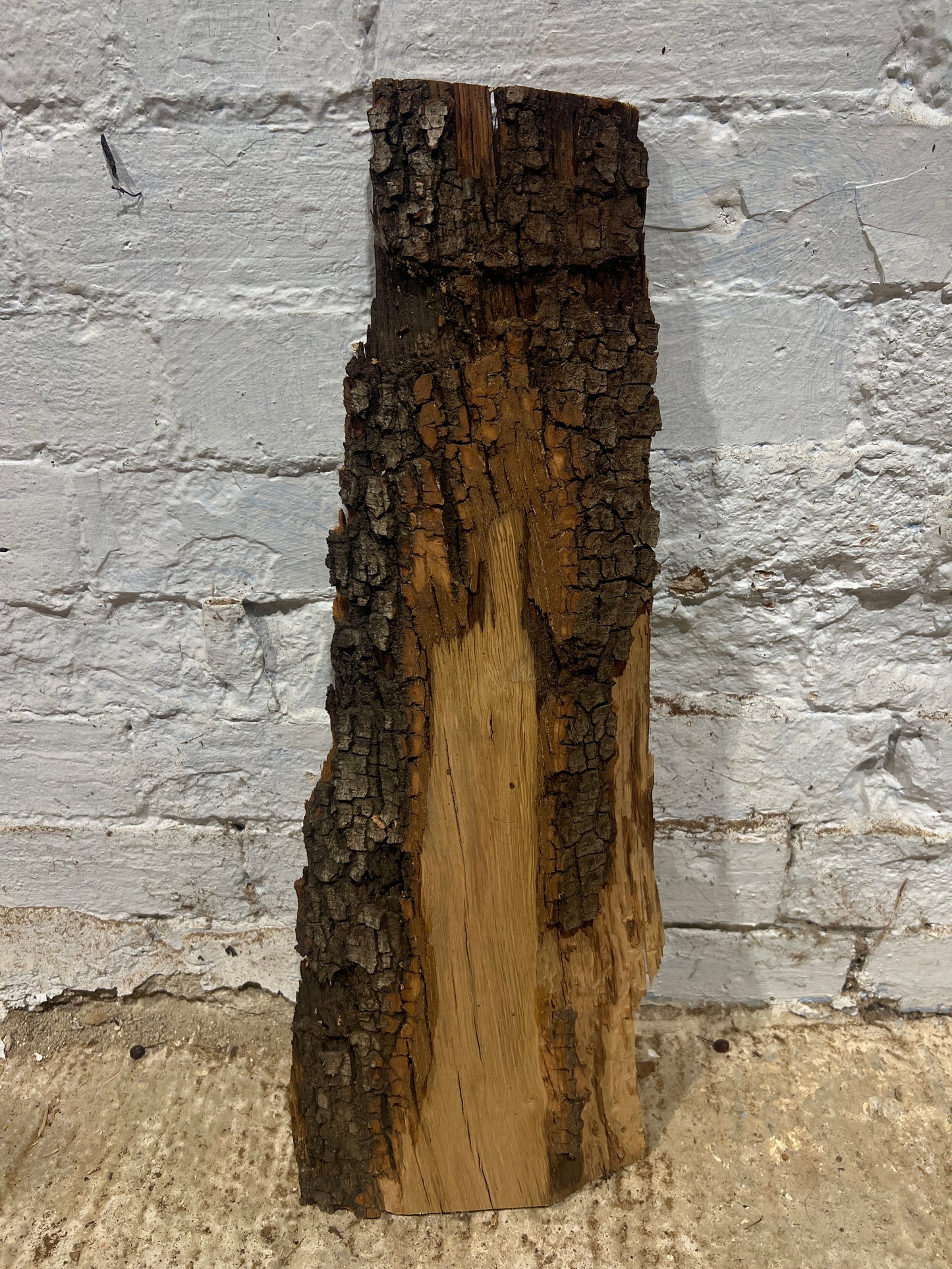 Holm Oak No 189 - 580x110-210x30mm Planed