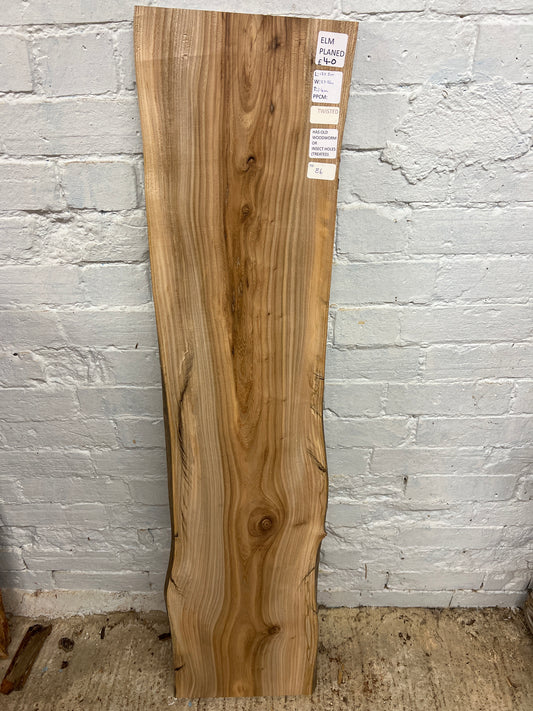 Elm No 86 - 1305x270-320x24mm Planed