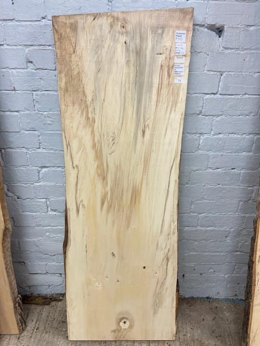 Horse Chestnut No 79 - 1445x470-540x45mm Planed