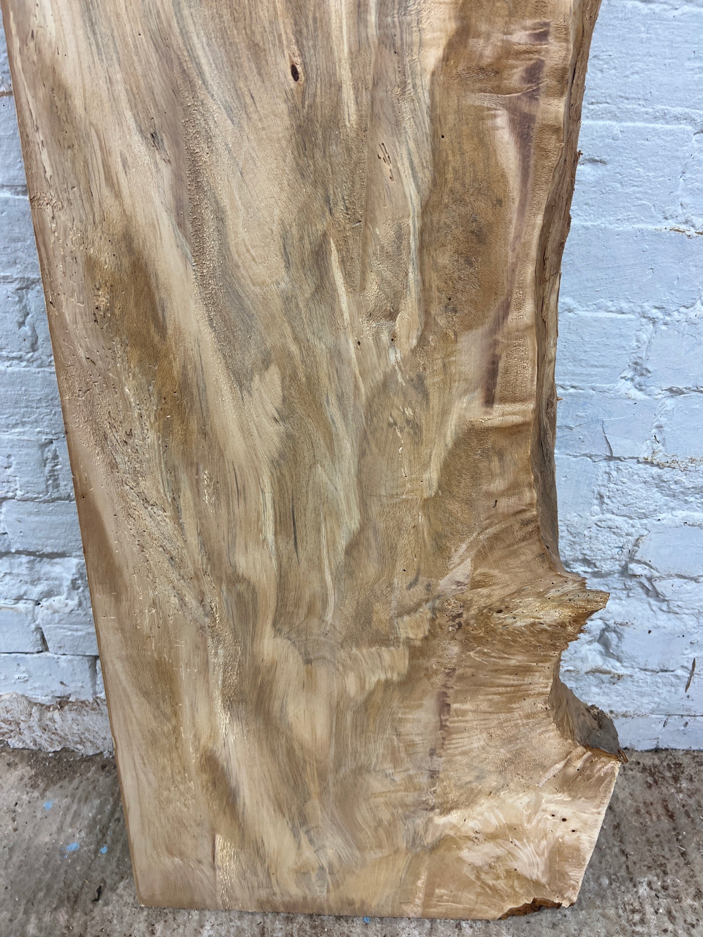 Horse Chestnut No 63 - 1720x340-510x73mm Planed