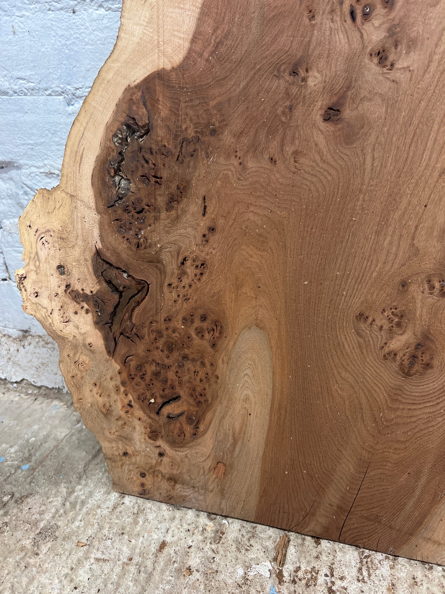 Burr Elm No 222 - 885x380-550x33mm Planed