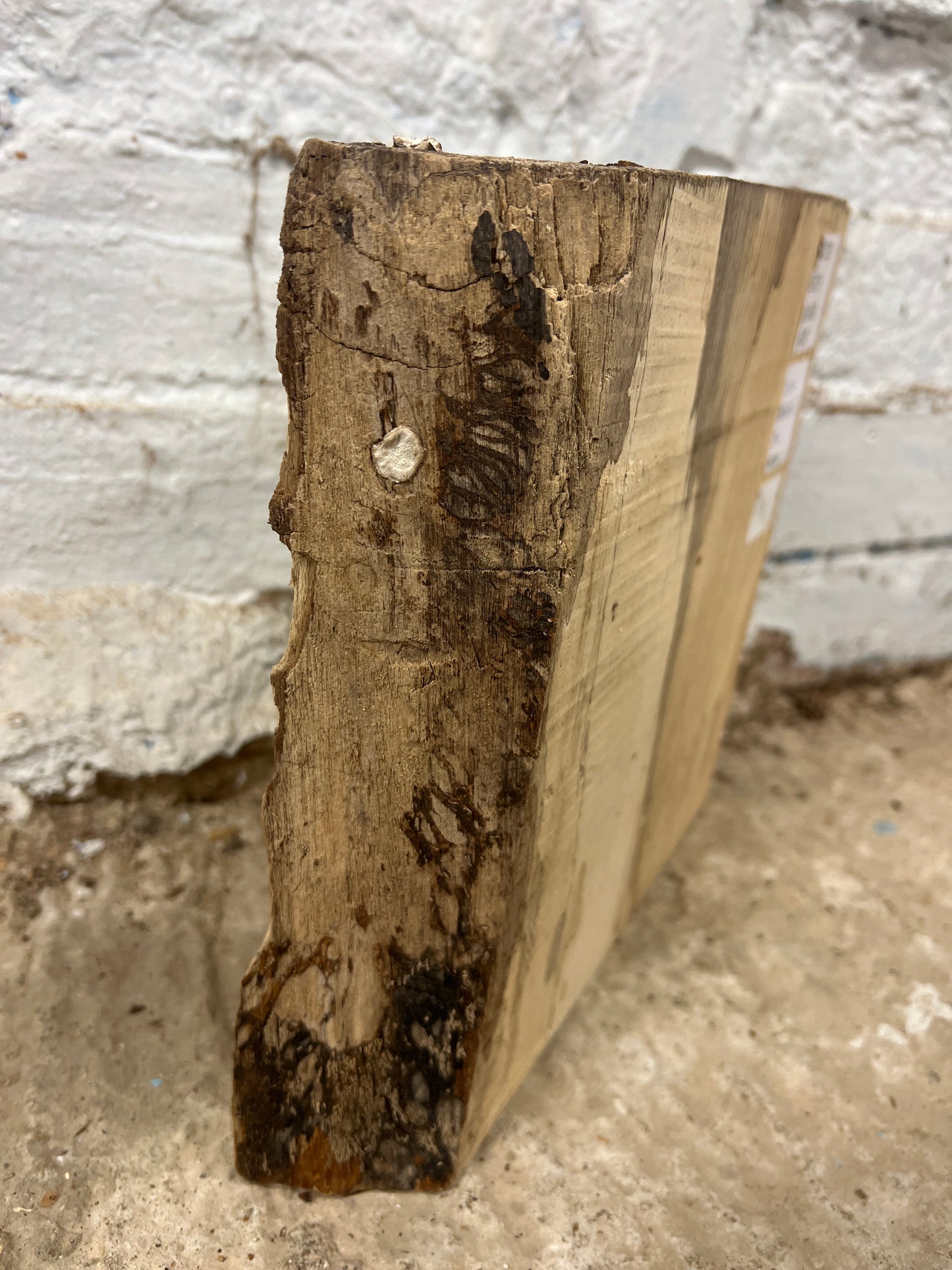 Spalted Beech No 8 - 245x240-250x50mm Planed
