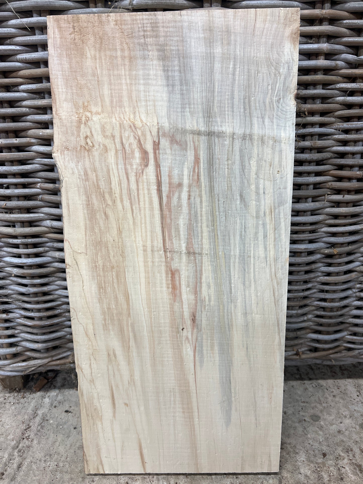 Horse Chestnut No 37 - 512x235-240x46mm Planed