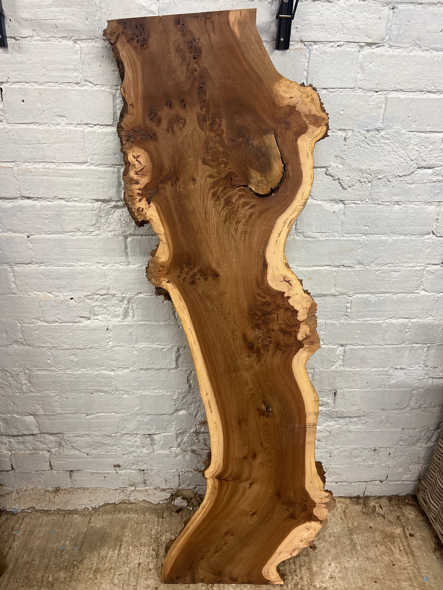 Burr Elm No 224 - 1440x260-420x43mm Planed